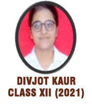 School Toppers Class XII